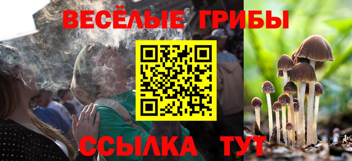 Янаул  Галлюциногенные грибы мухоморы  Псилоцибиновые грибы Magic Shrooms  Вход с VPN 