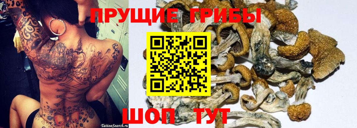 Псилоцибиновые грибы GOLDEN TEACHER Янаул
